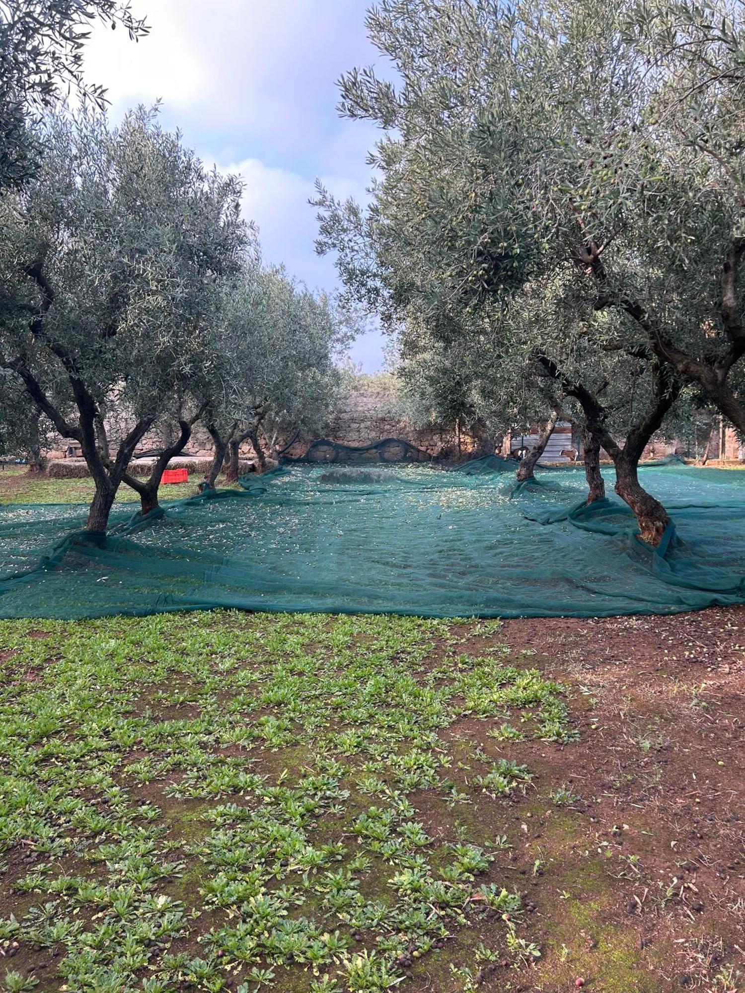Sorelle Barnaba Country House Monopoli Dış mekan fotoğraf